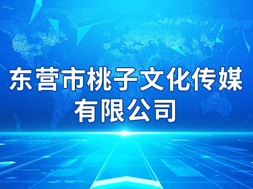 ��Ӫ�������Ļ���ý���޹�˾